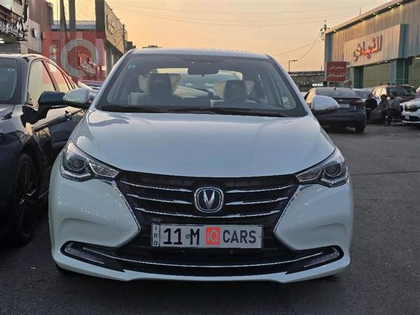 چانگان ئەلسڤین 2024  بۆ فرۆشتن لە عێراق -  بەغداد